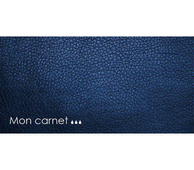 Carnet de suivi glycémique adultes